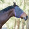 Budget Fly Mask - Image 4