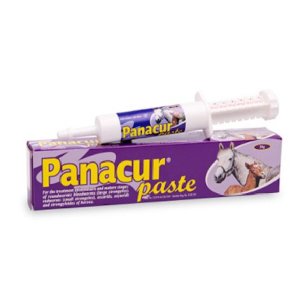 Panacur Paste 24 gr Syringe