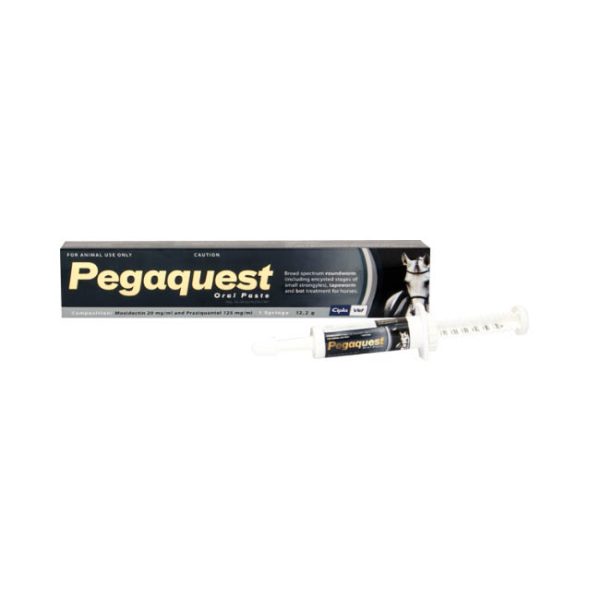 Pegaquest 12.2g